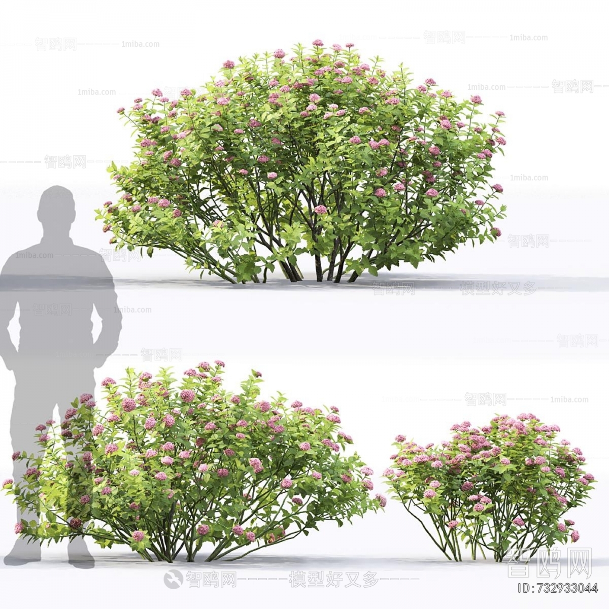 Modern Shrubbery