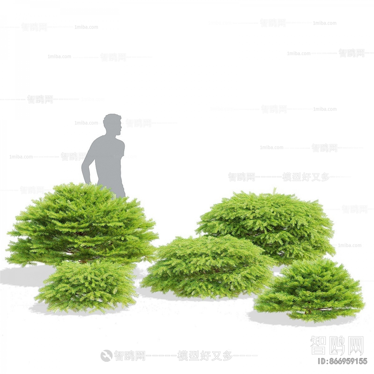 Modern Shrubbery