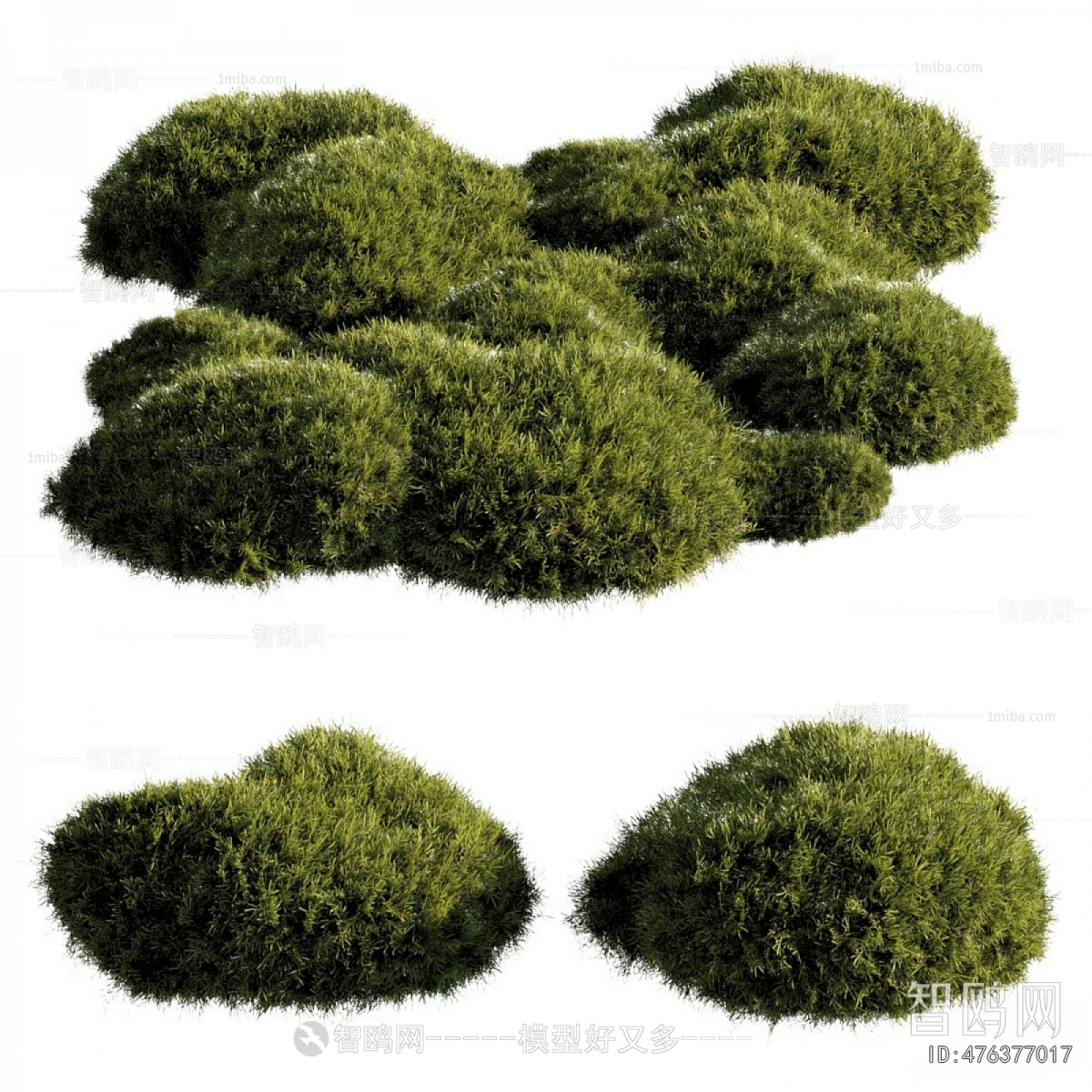 Modern Shrubbery