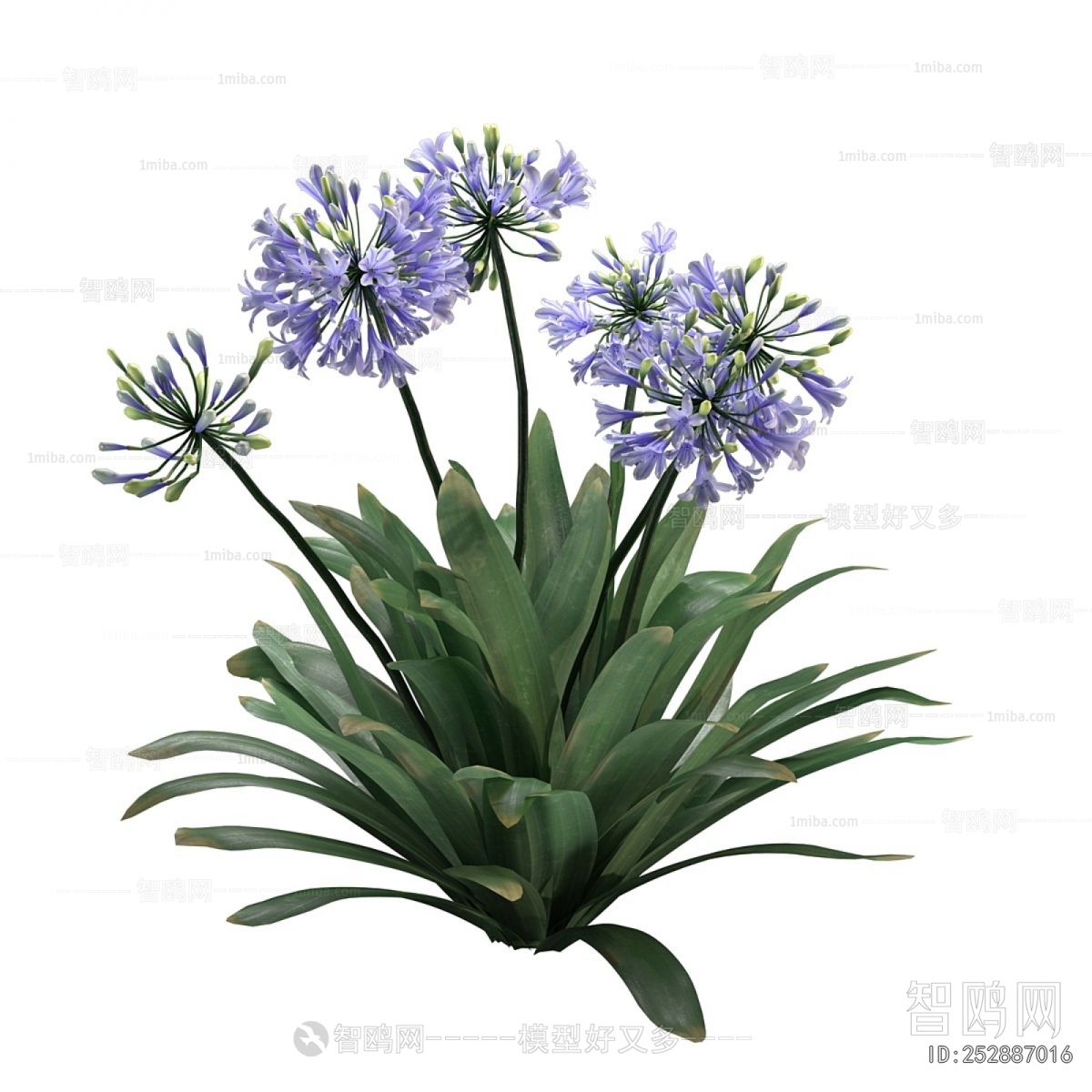 Modern Flowers And Grass