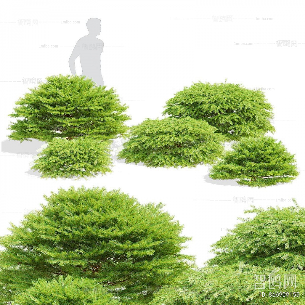 Modern Shrubbery