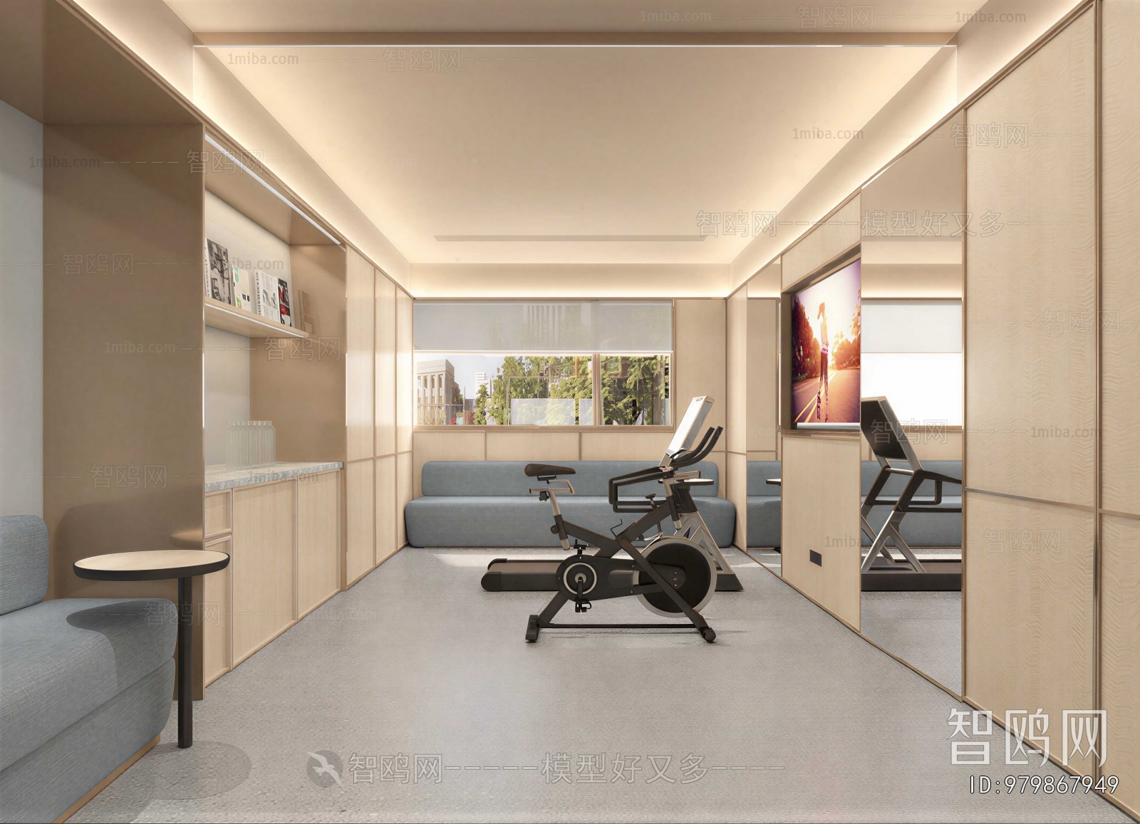 Modern Home Fitness Room