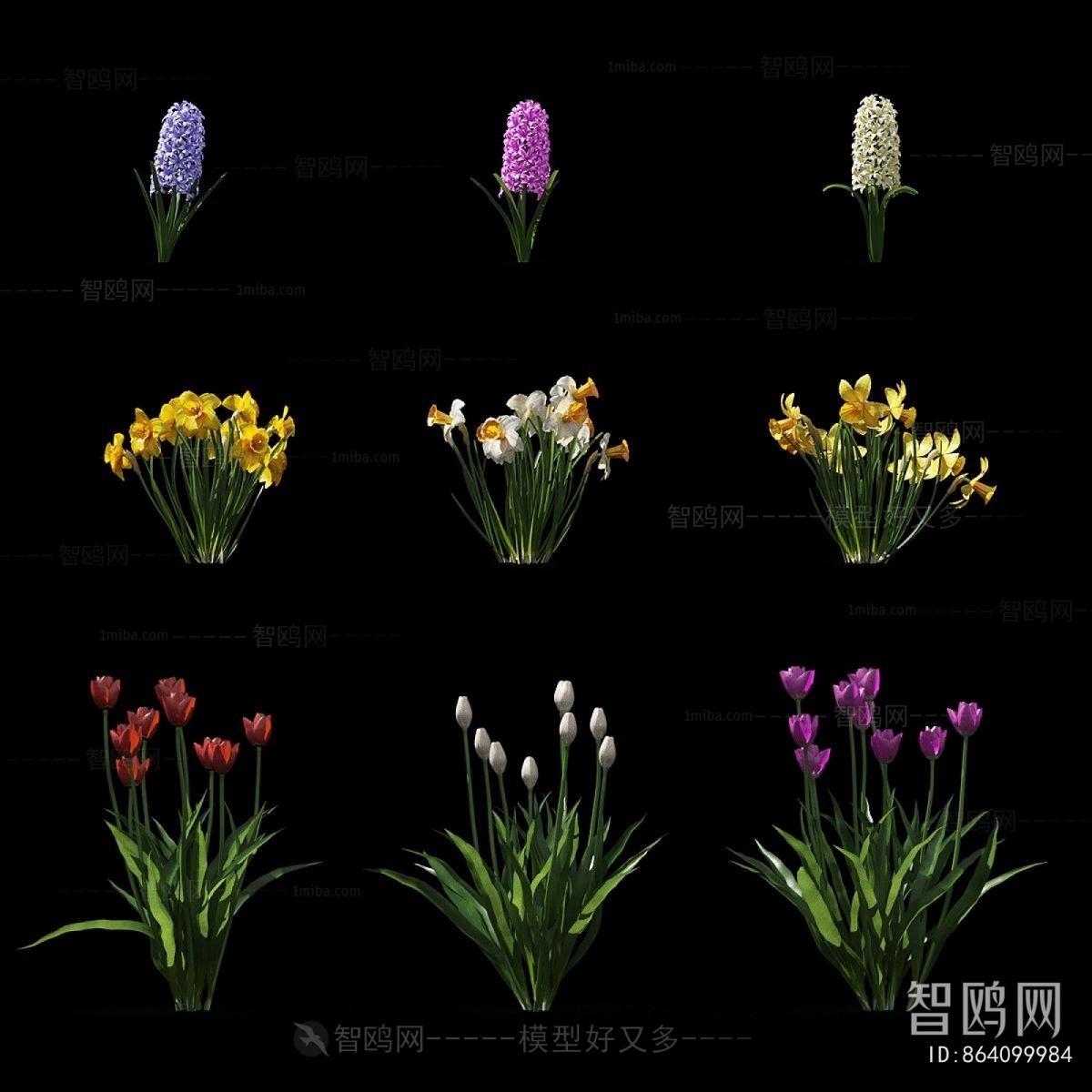 Modern Flowers And Grass