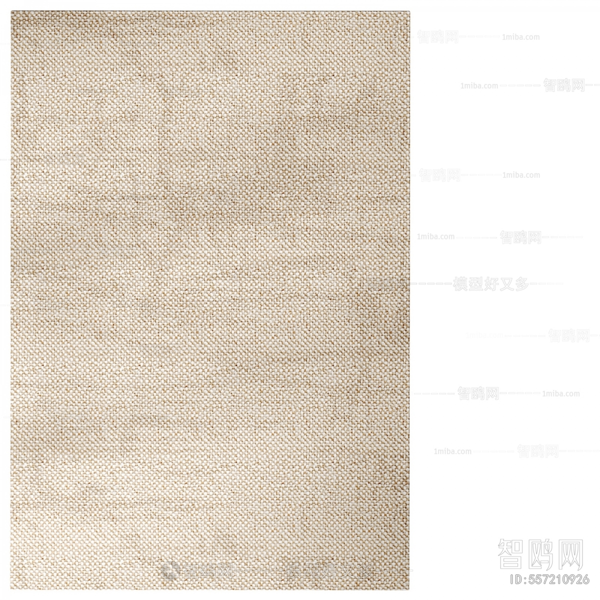 Modern The Carpet