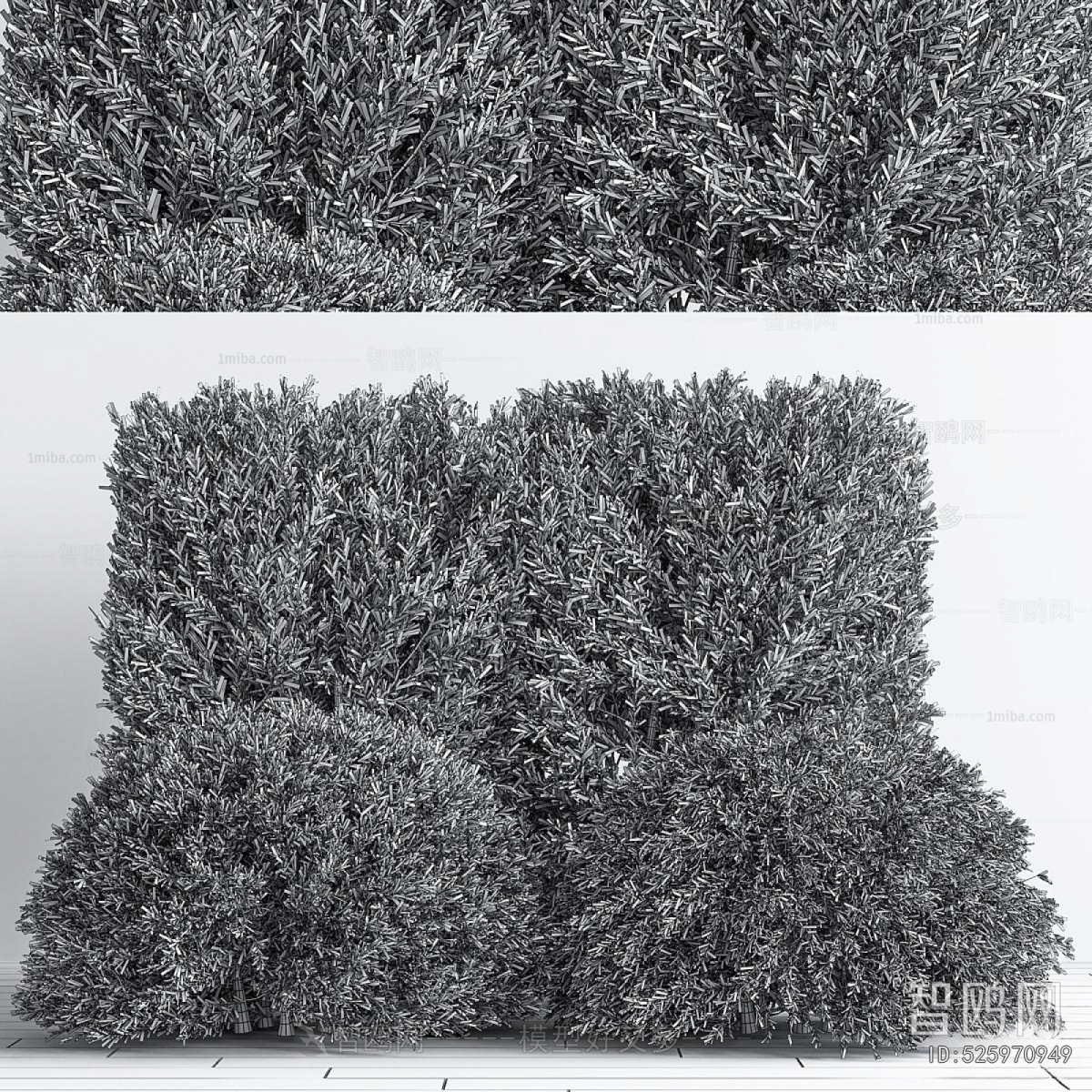 Modern Shrubbery