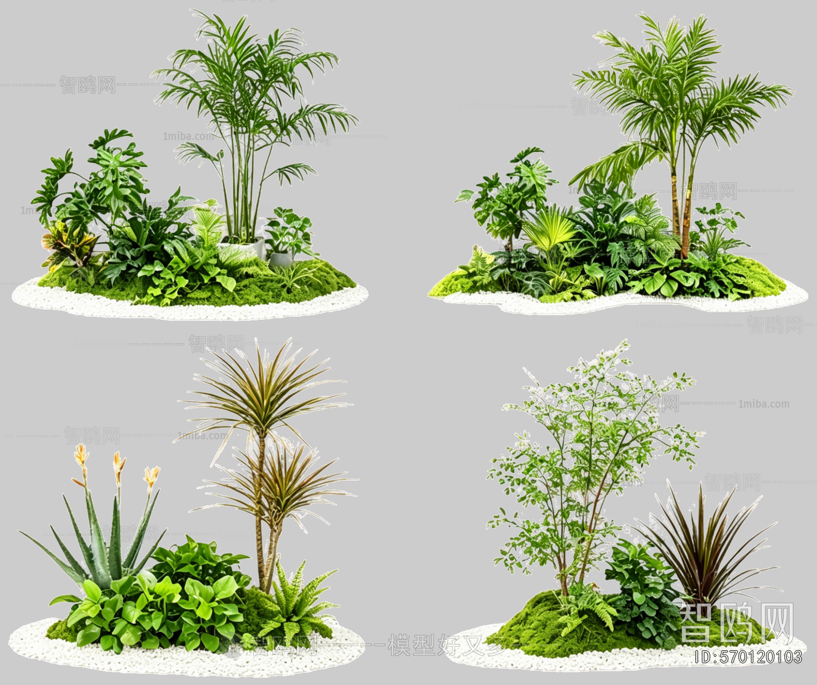 Plant Leaves