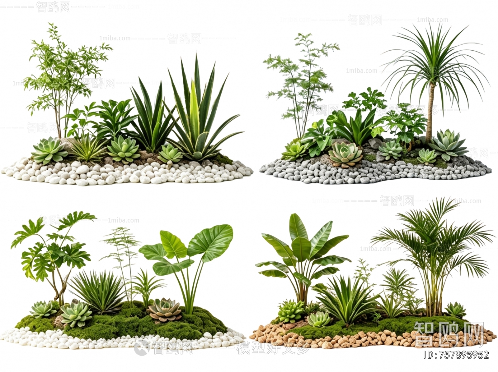 Modern Plant Landscaping
