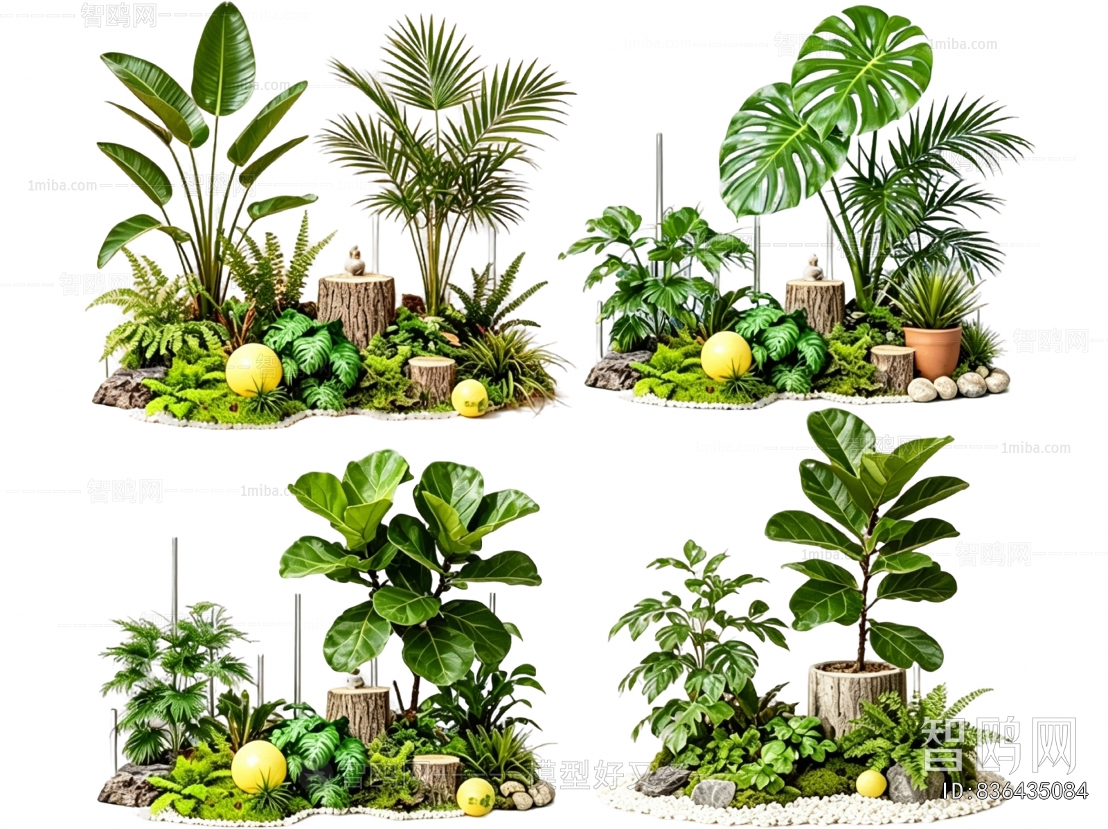 Modern Plant Landscaping