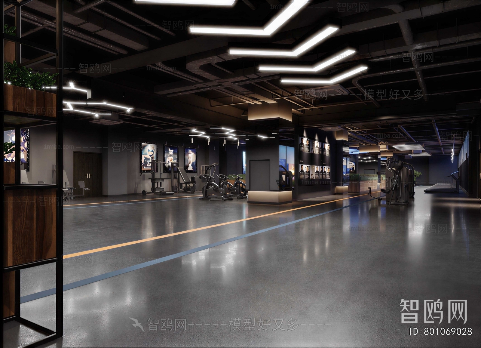 Modern Gym