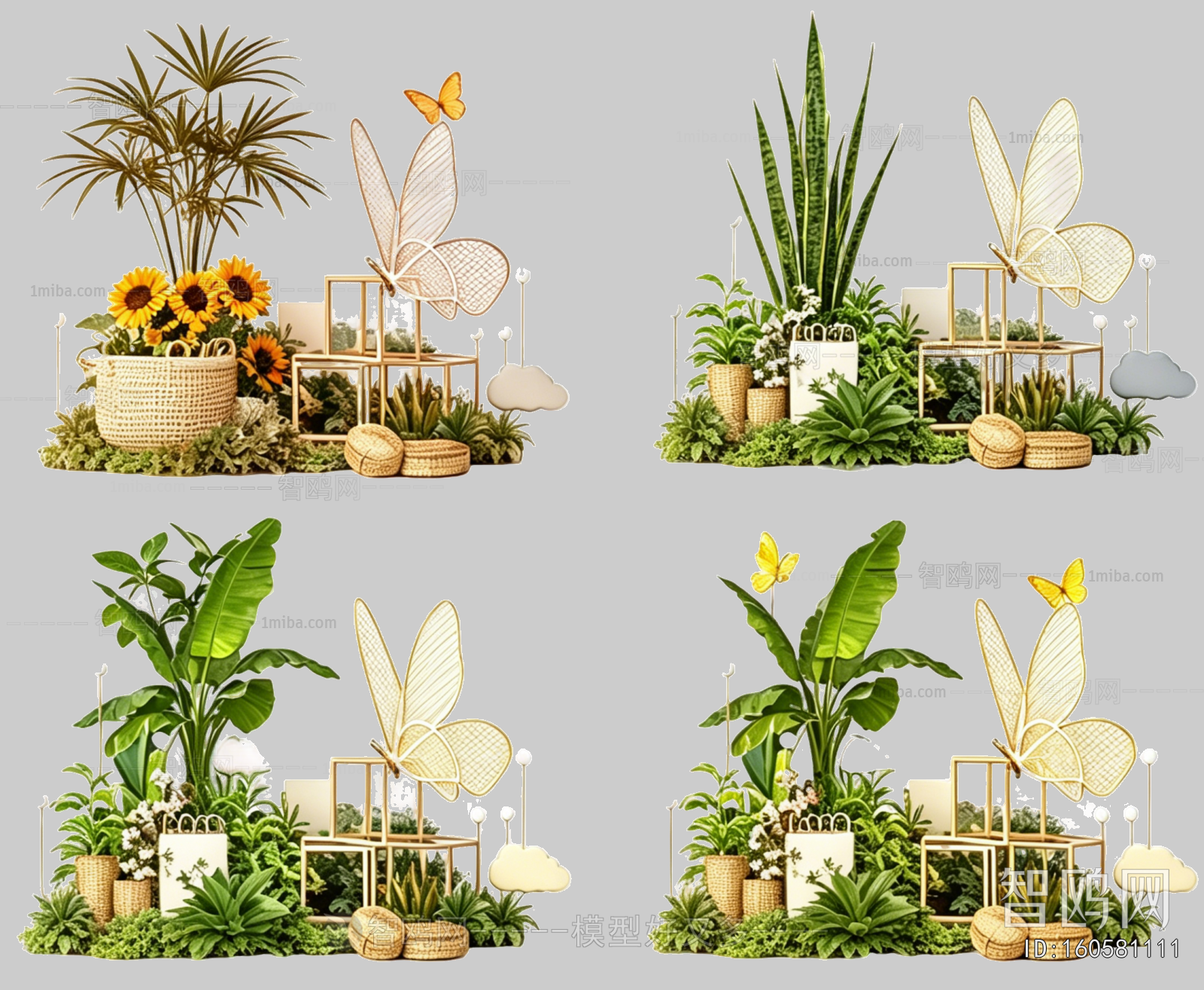 Plant Leaves
