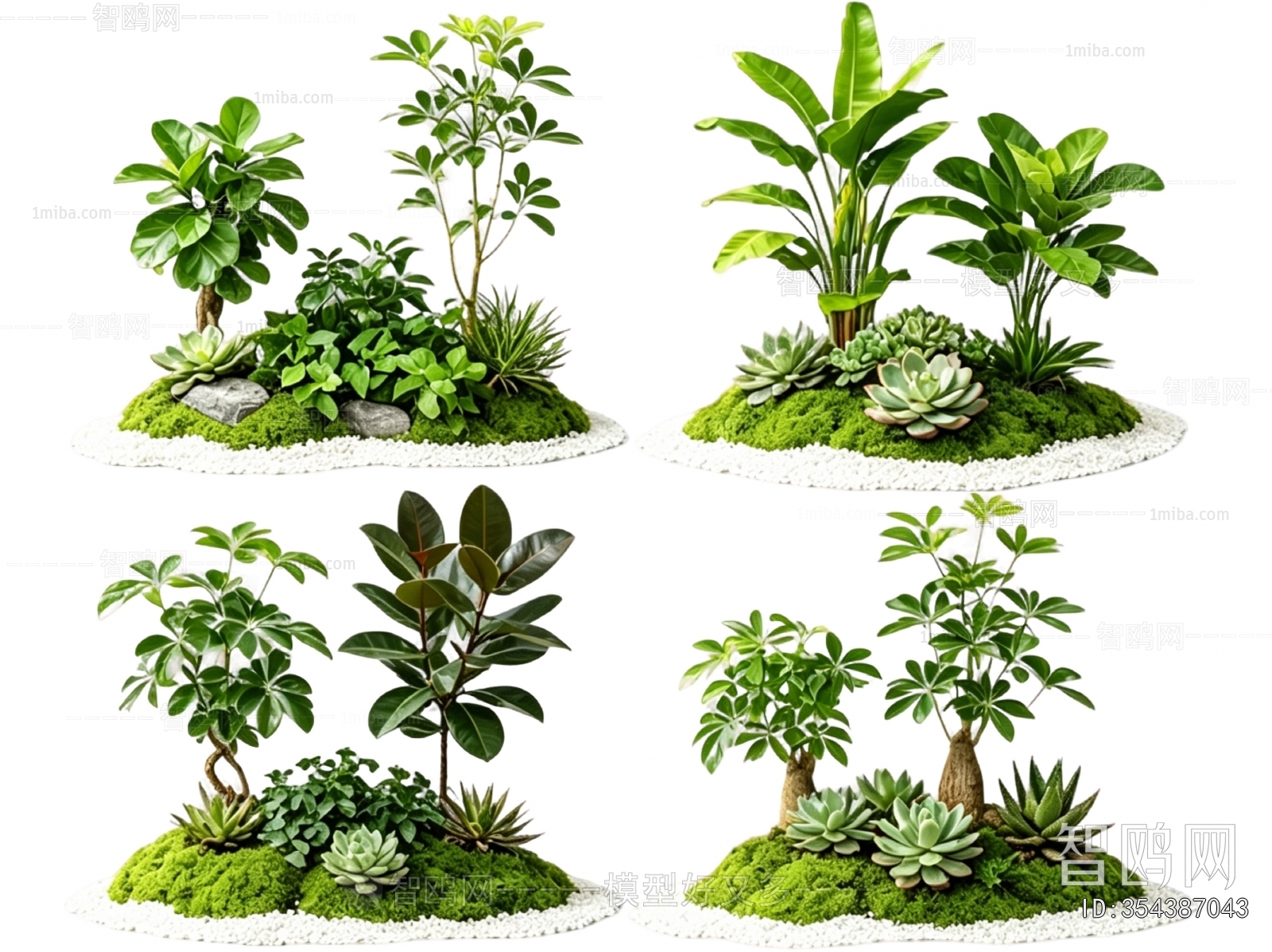 Modern Plant Landscaping