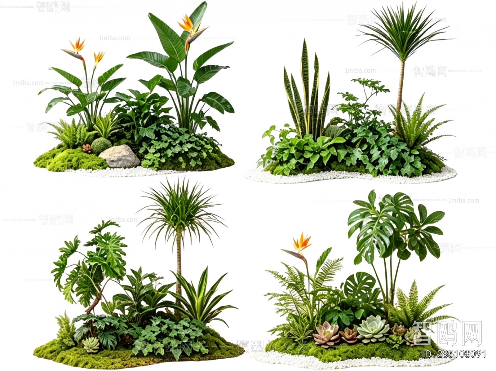 Modern Plant Landscaping