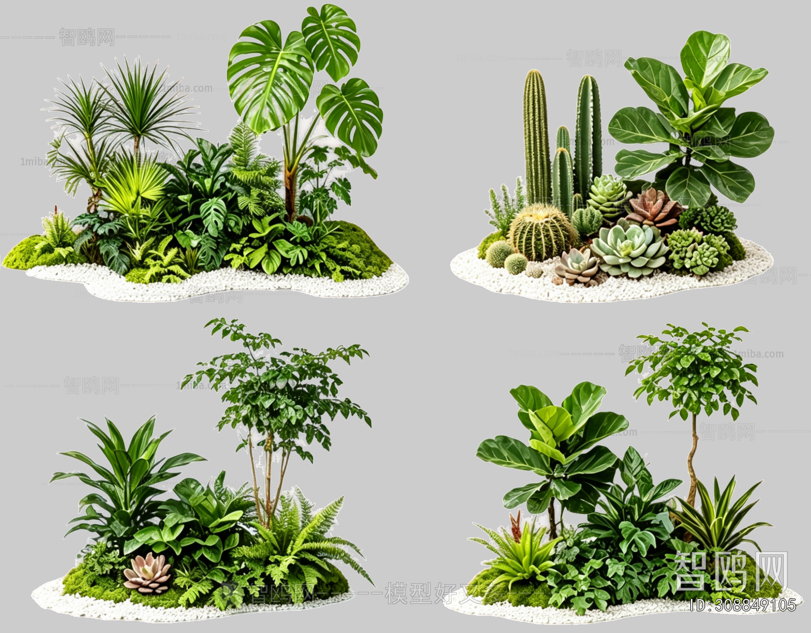 Plant Leaves