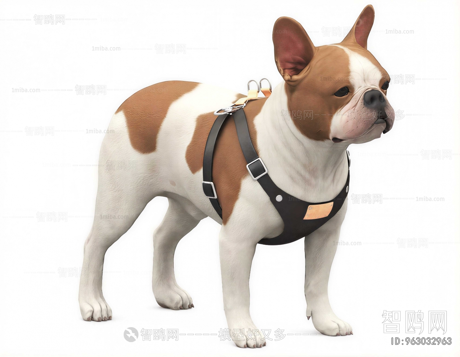Modern Animal Dog