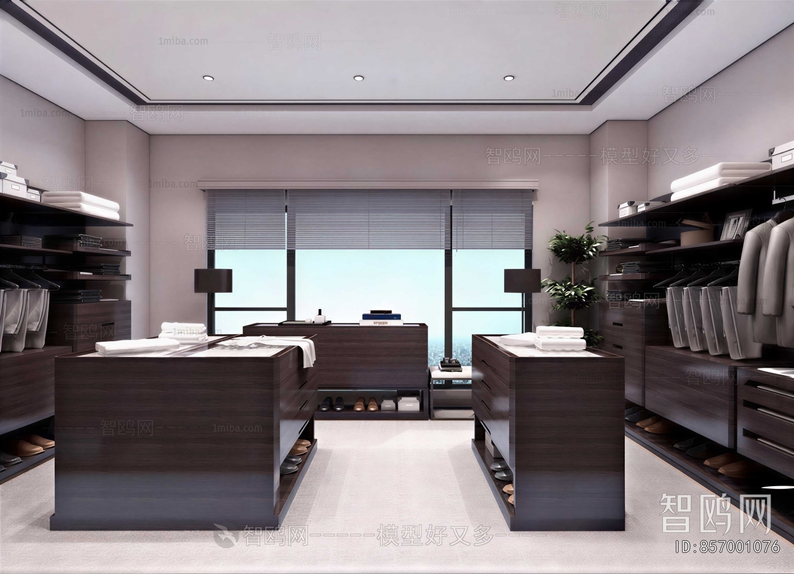 Modern Clothes Storage Area