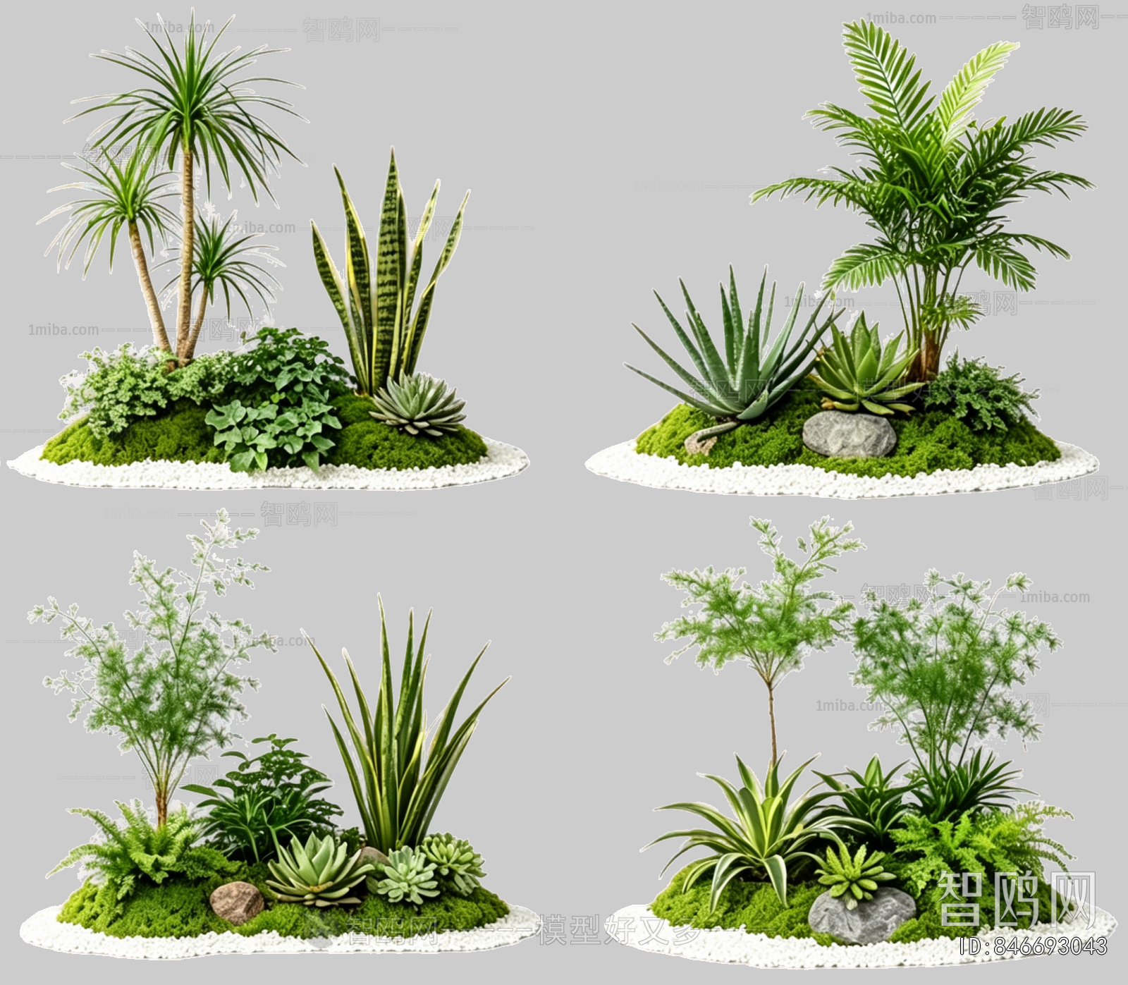 Plant Leaves