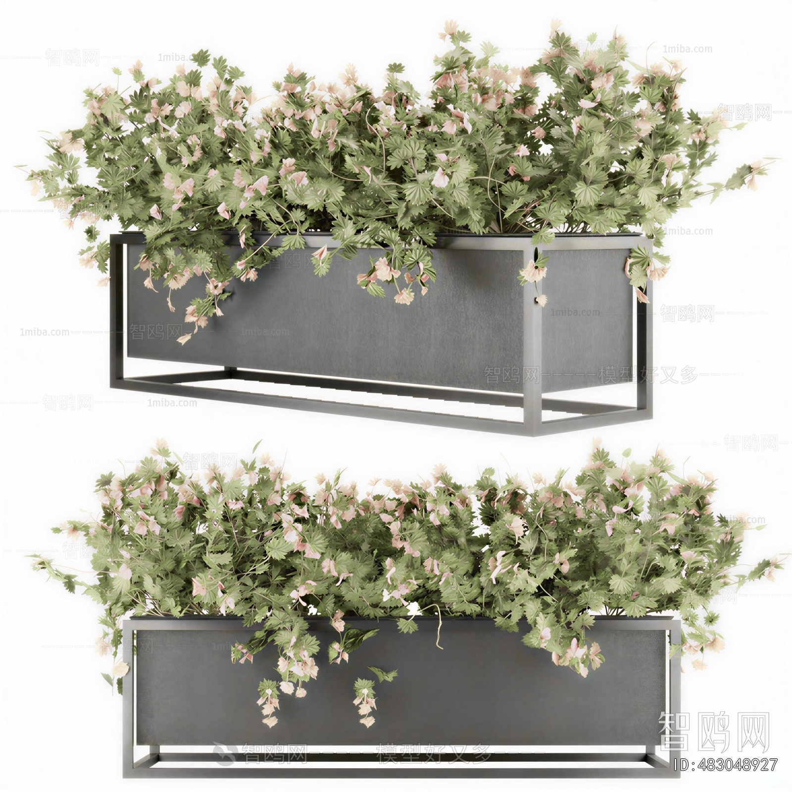 Modern Flower Bed, Flower Bowl, Flower Box