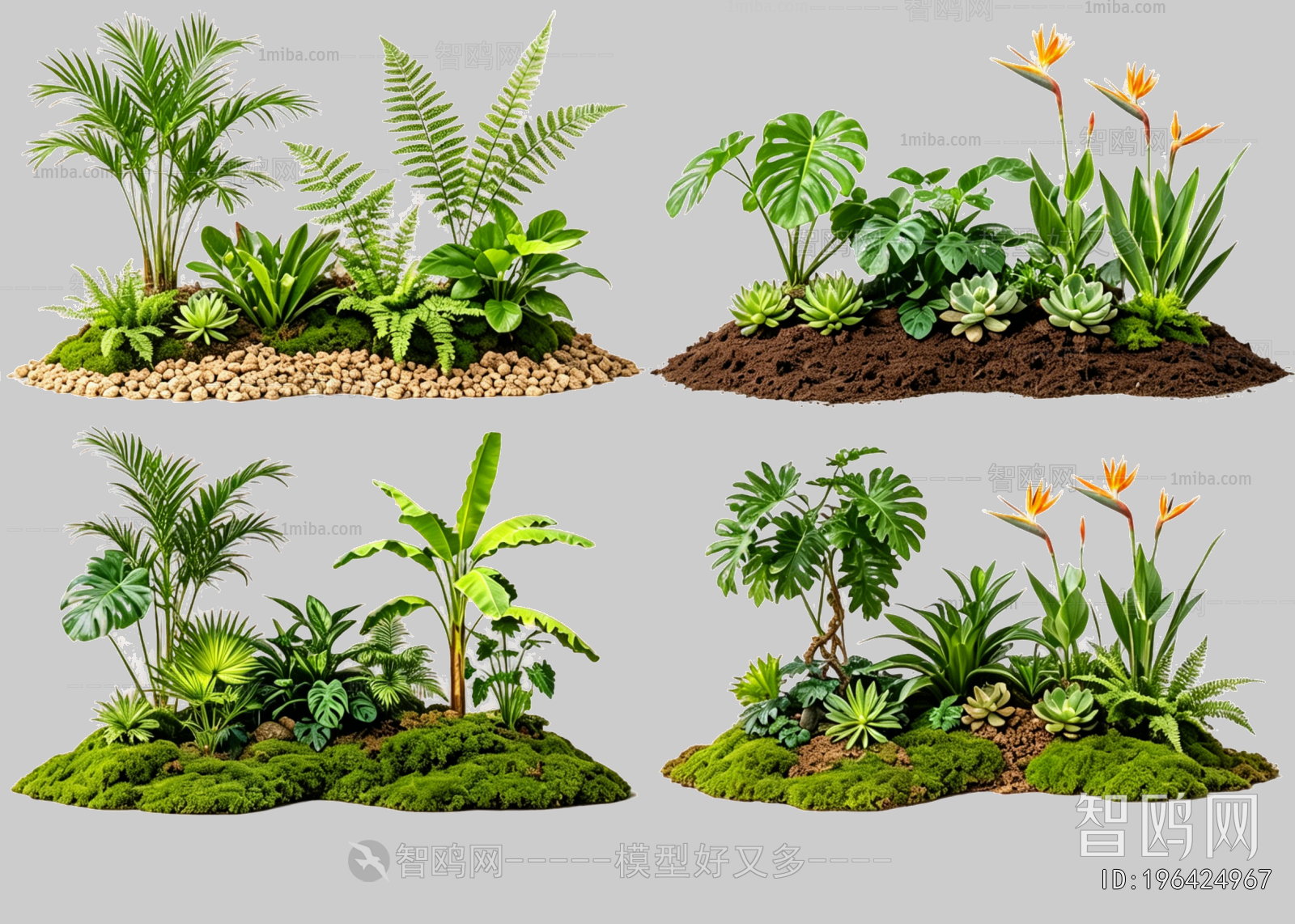 Plant Leaves