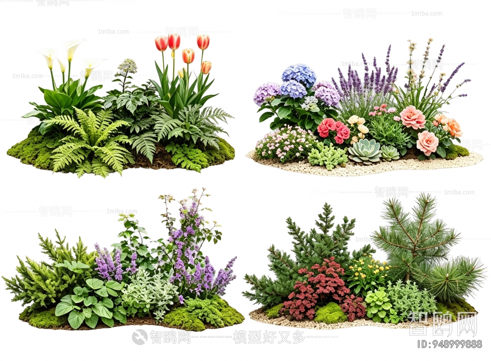 Modern Plant Landscaping