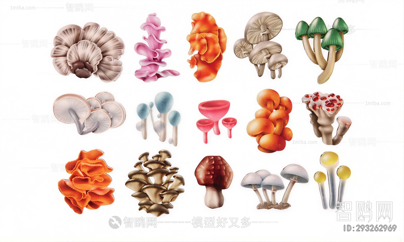 Modern Vegetables
