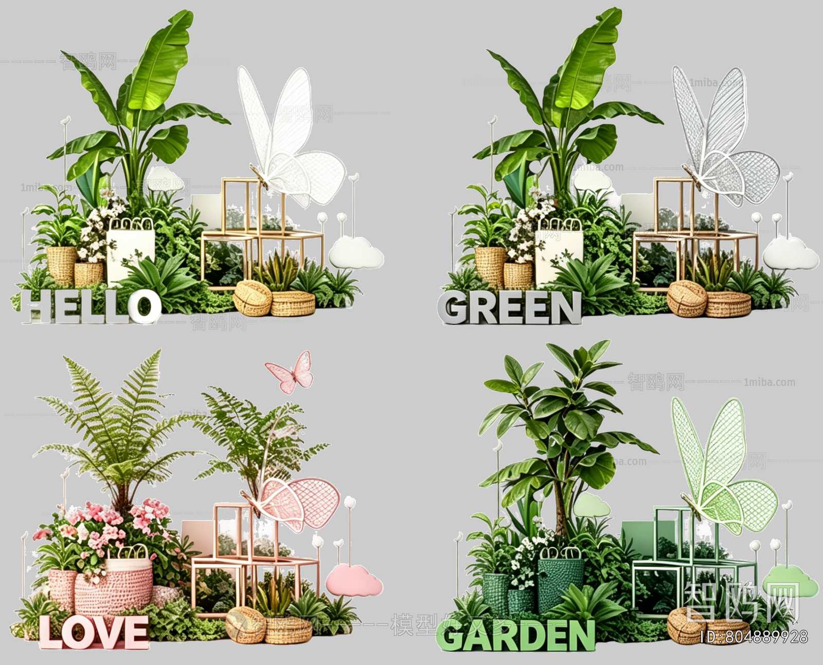 Plant Leaves