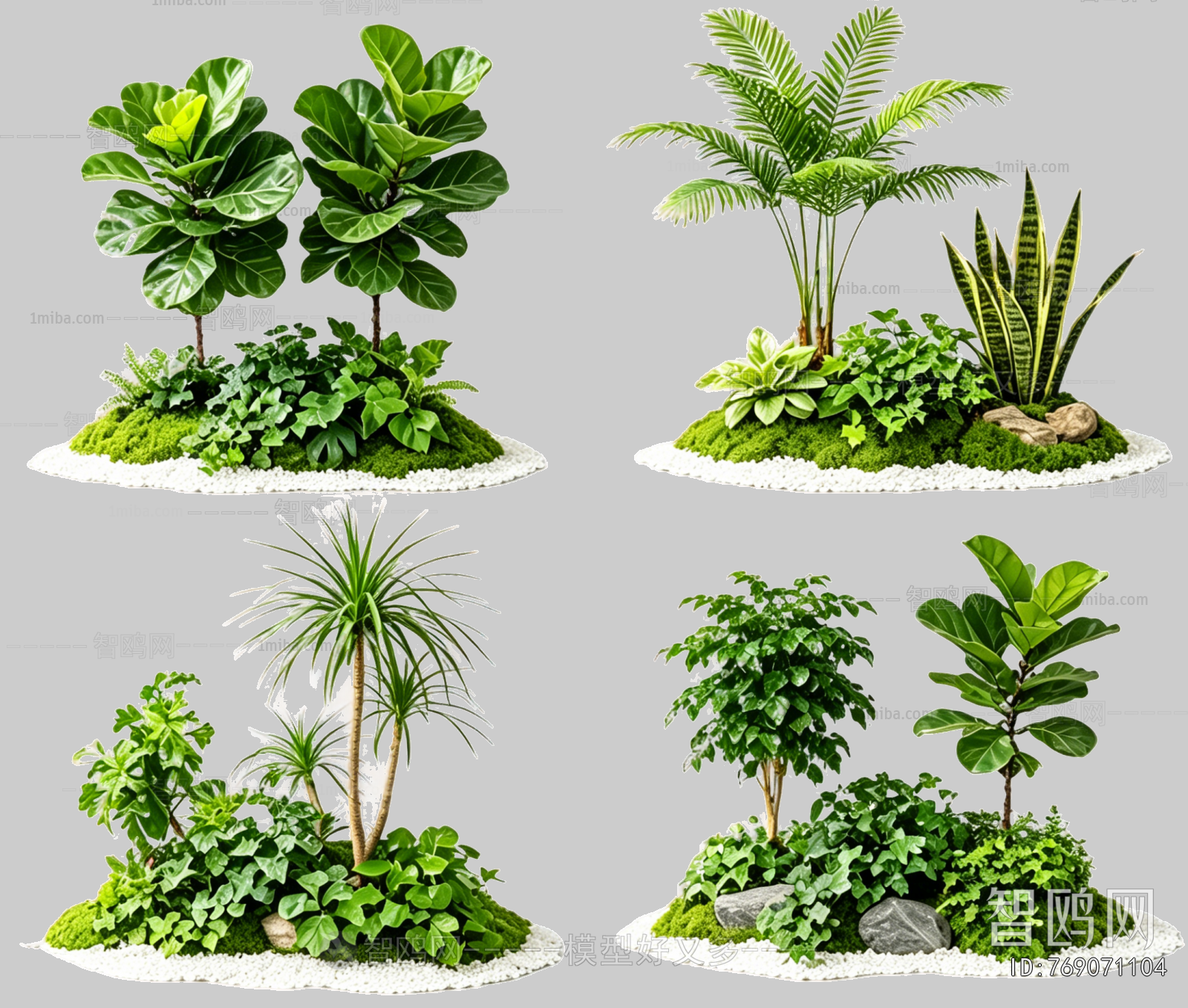 Plant Leaves