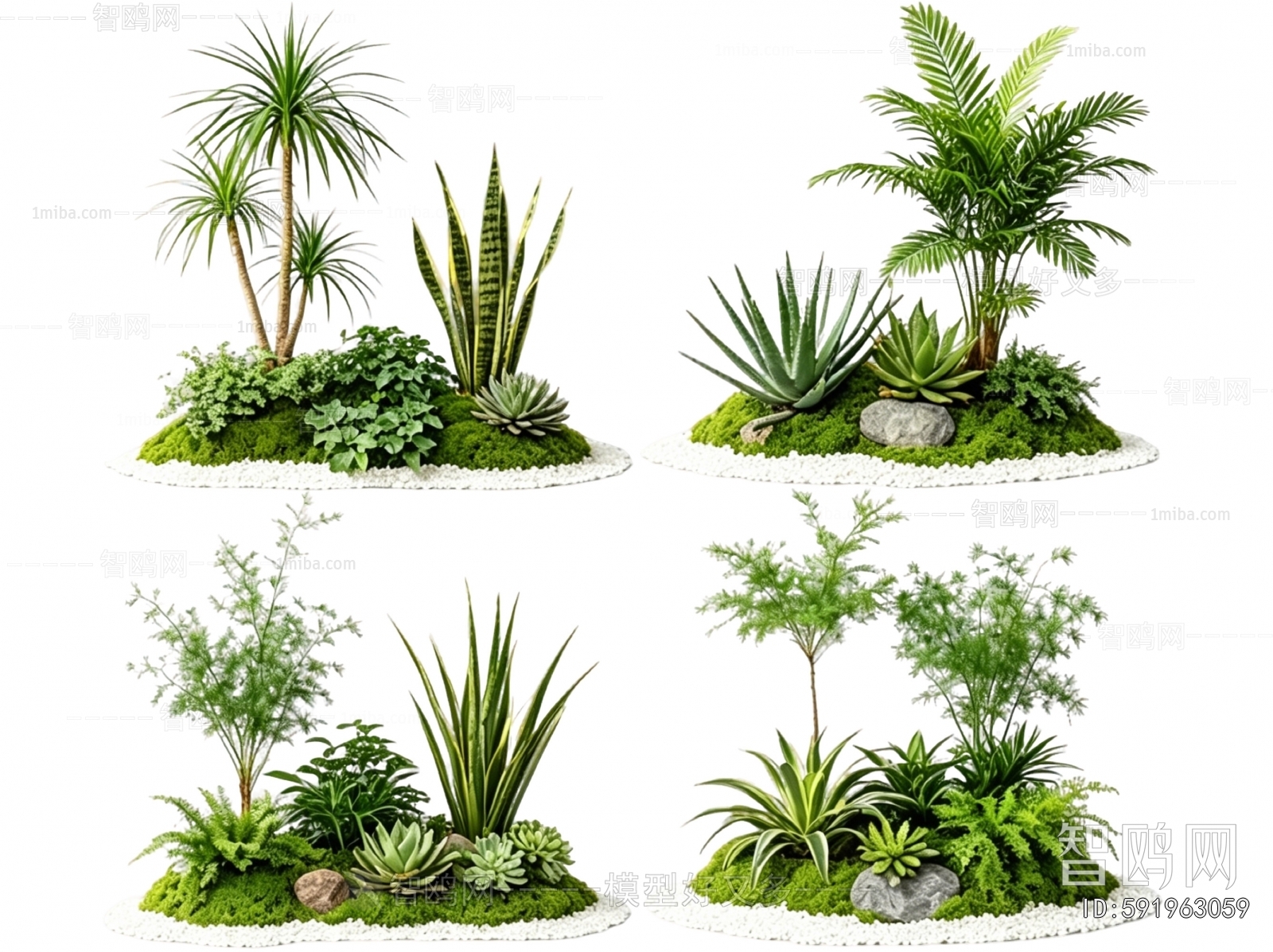 Modern Plant Landscaping