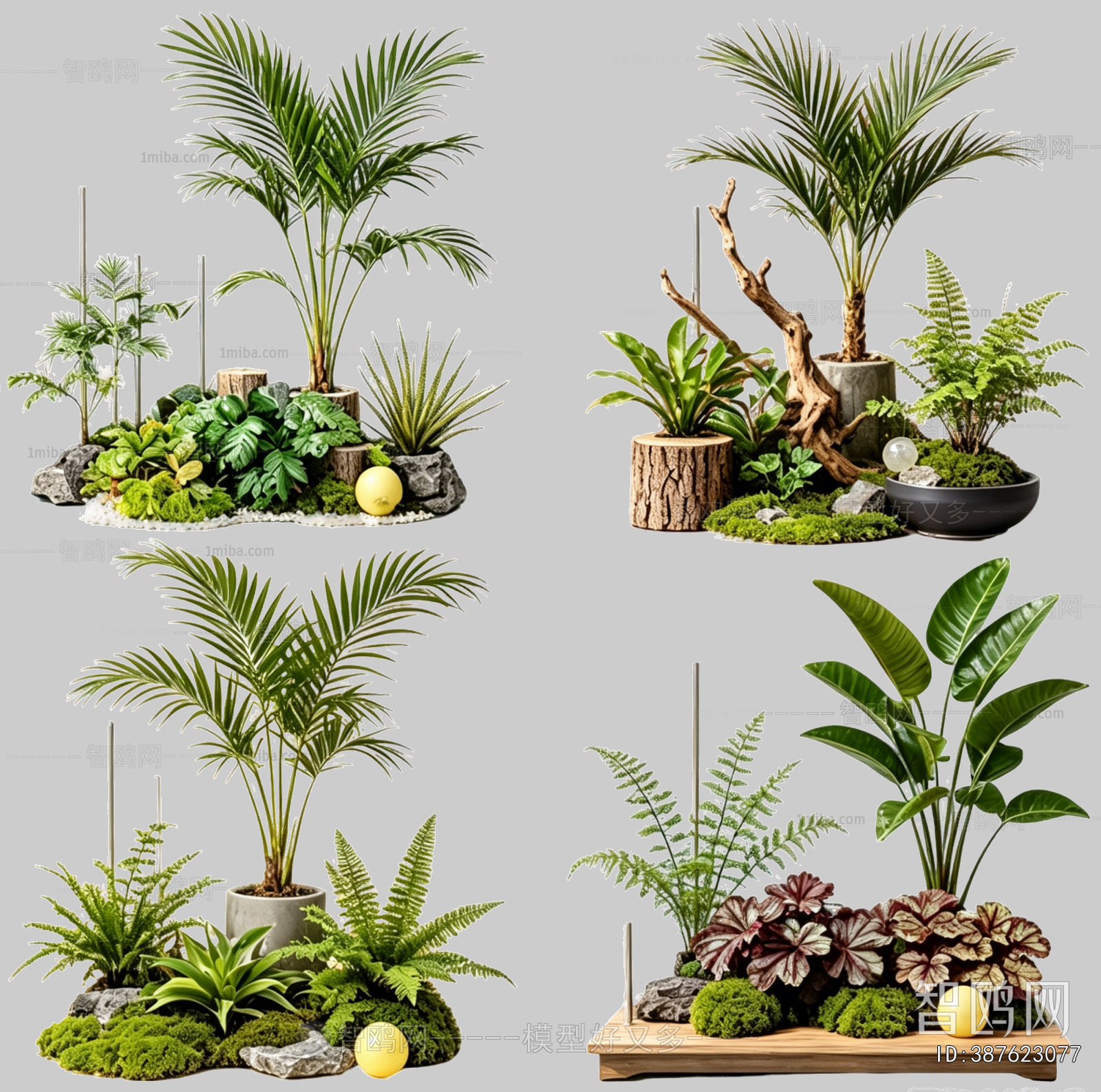 Plant Leaves