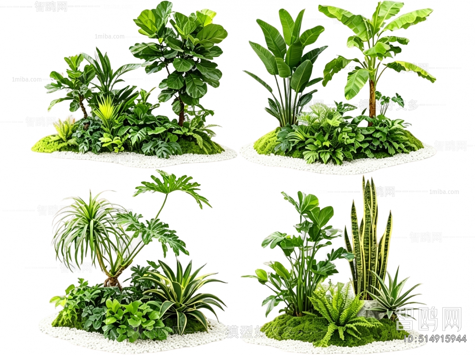 Modern Plant Landscaping