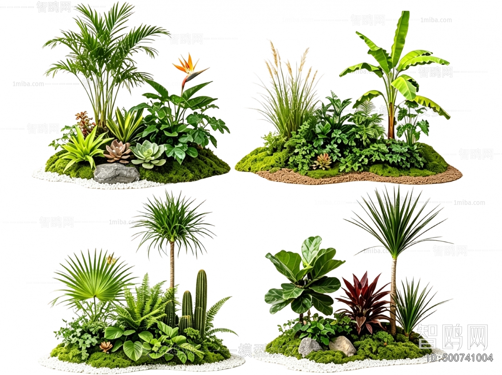 Modern Plant Landscaping