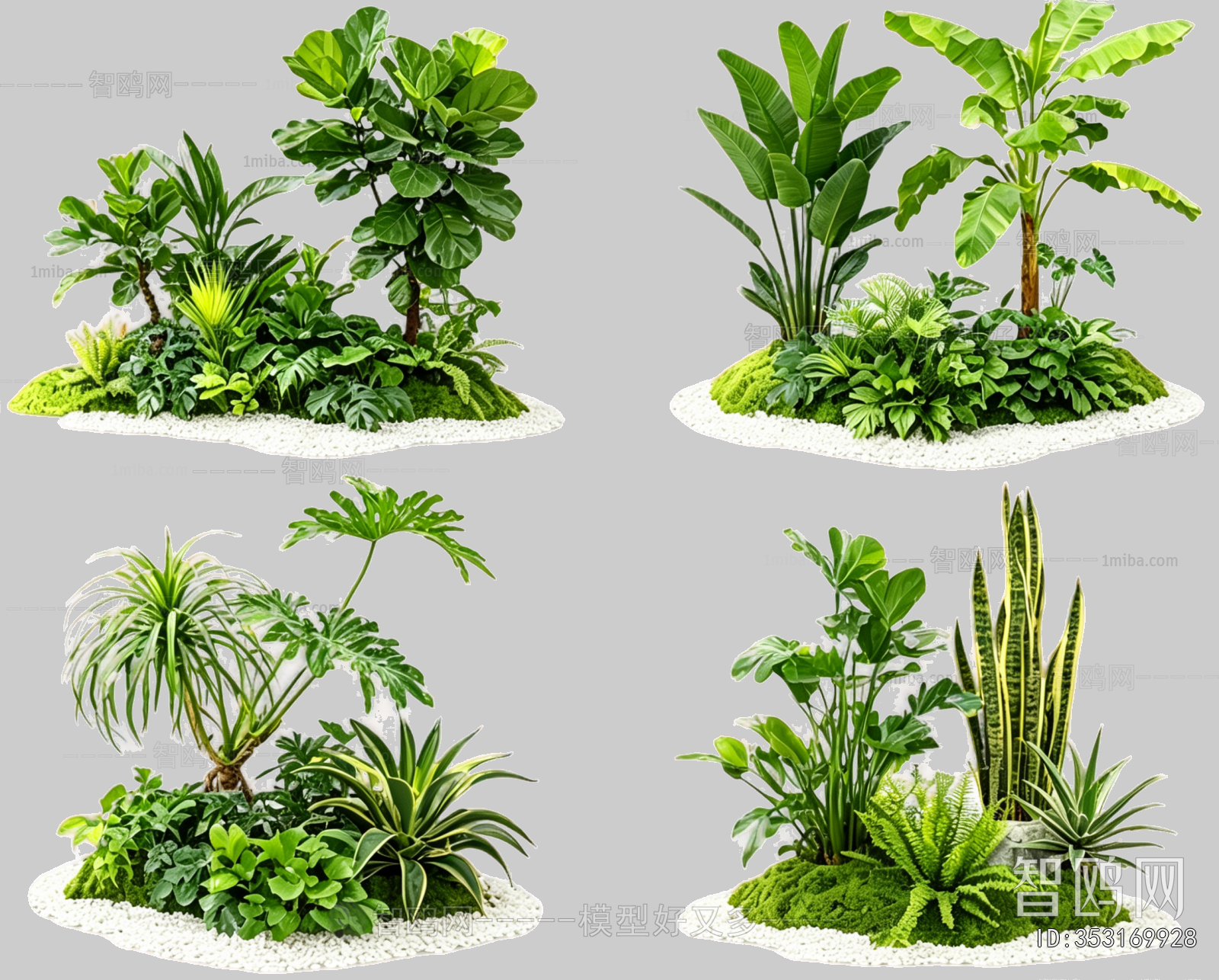 Plant Leaves