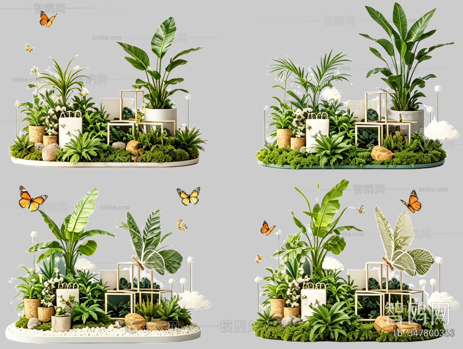Plant Leaves