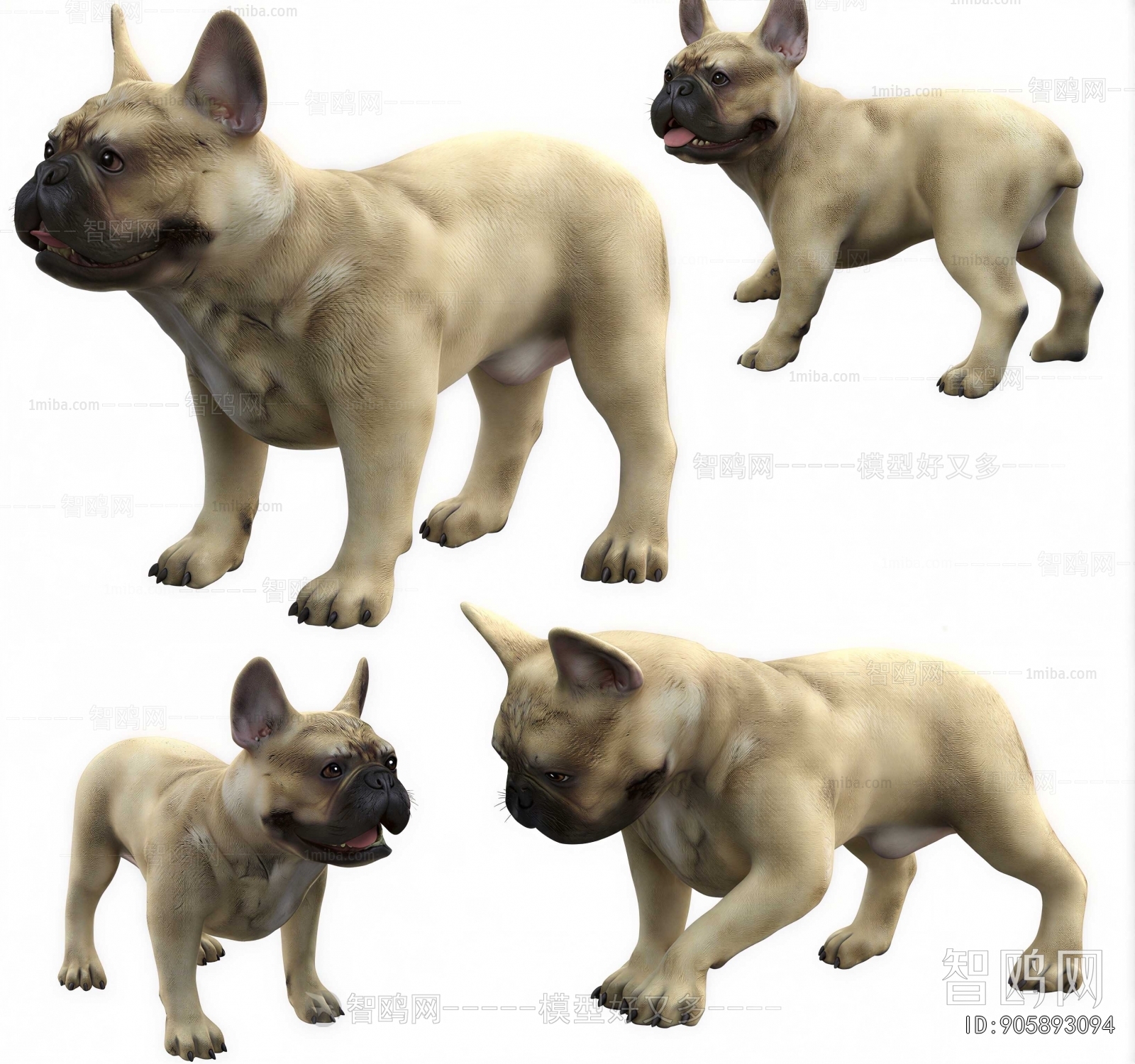 Modern Animal Dog
