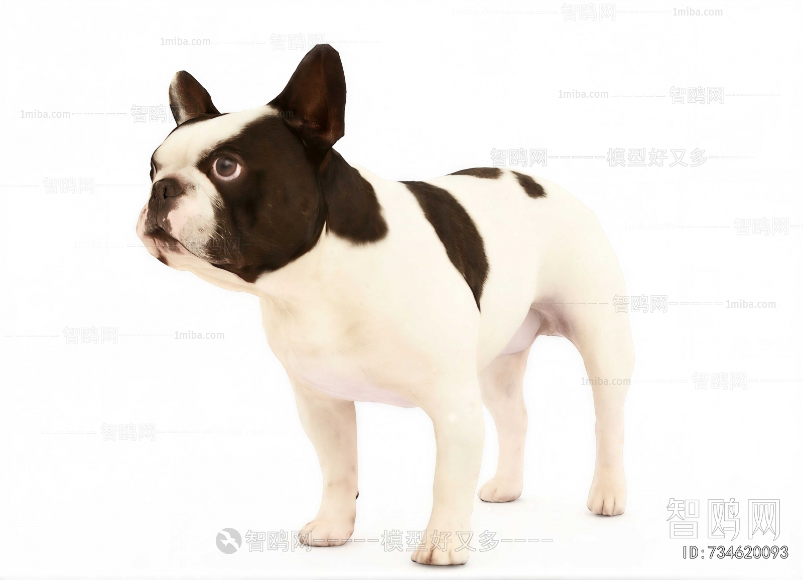 Modern Mammal