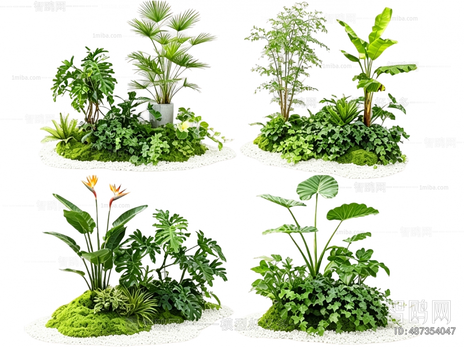 Modern Plant Landscaping