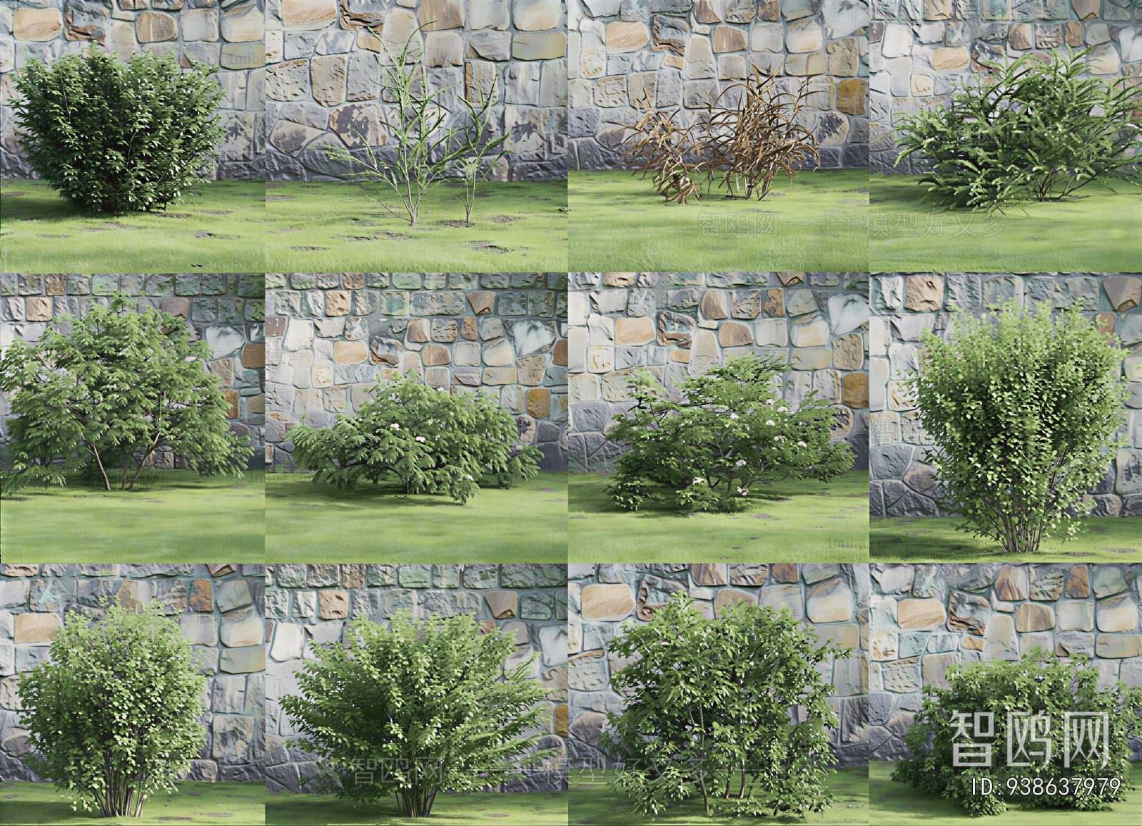Modern Shrubbery