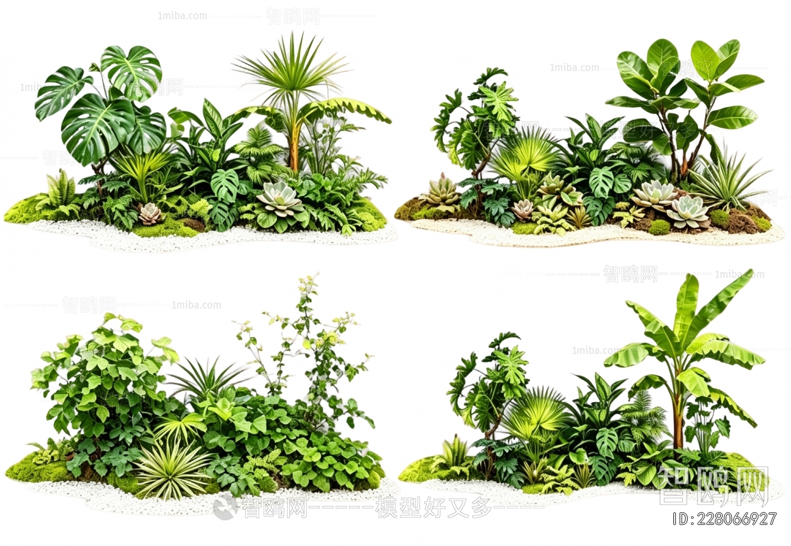 Modern Plant Landscaping