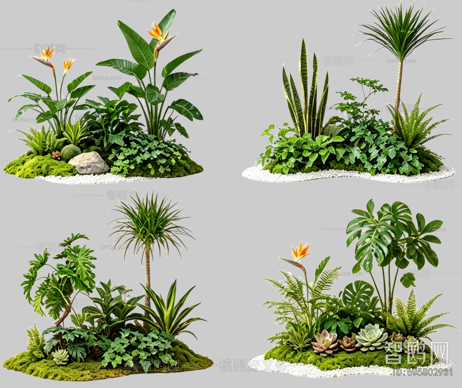 Plant Leaves