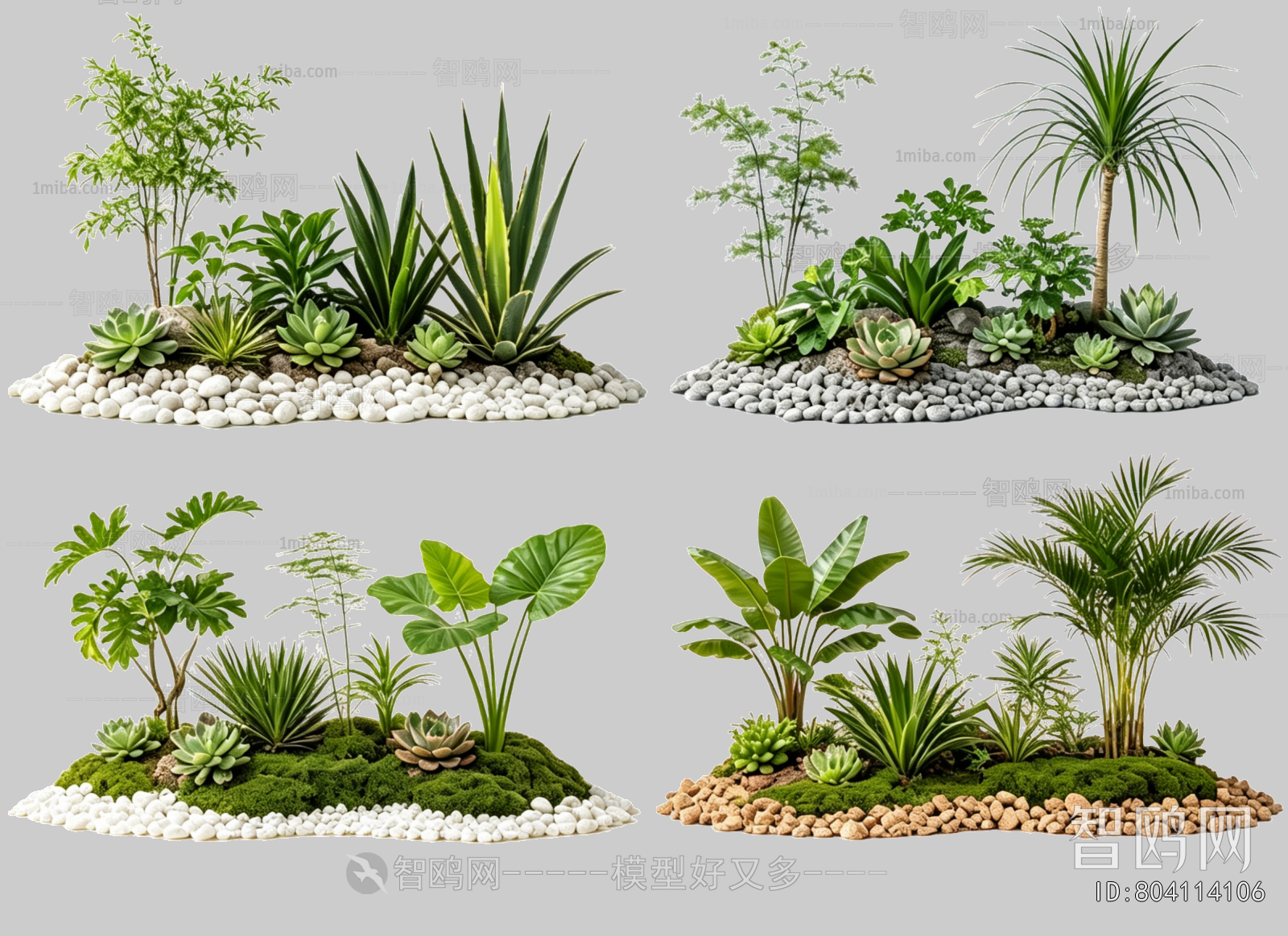 Plant Leaves