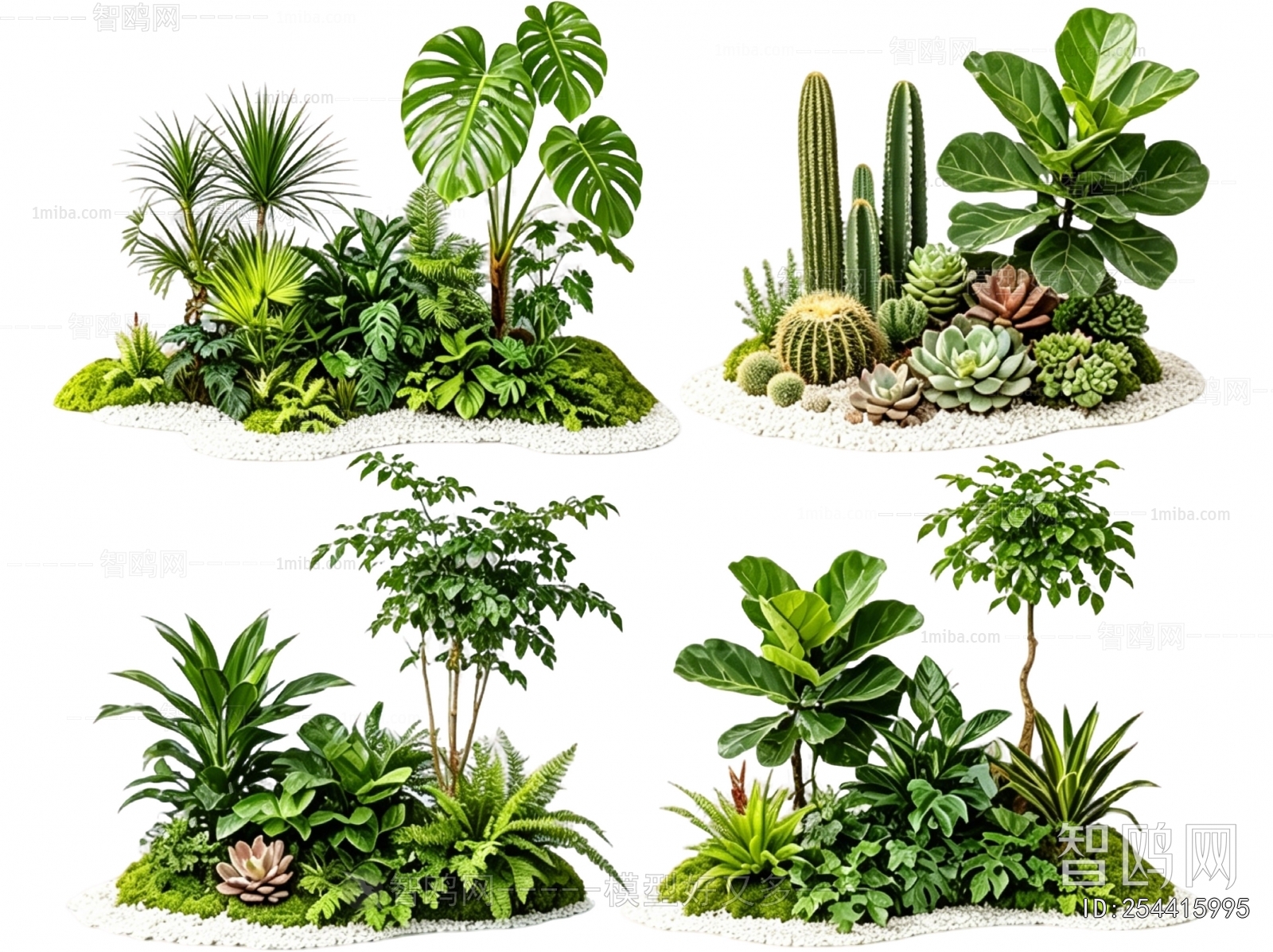 Modern Plant Landscaping