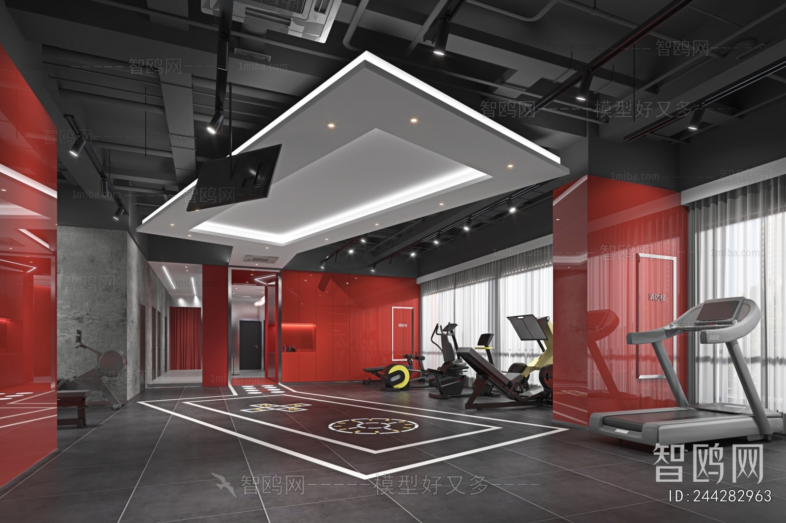 Modern Gym