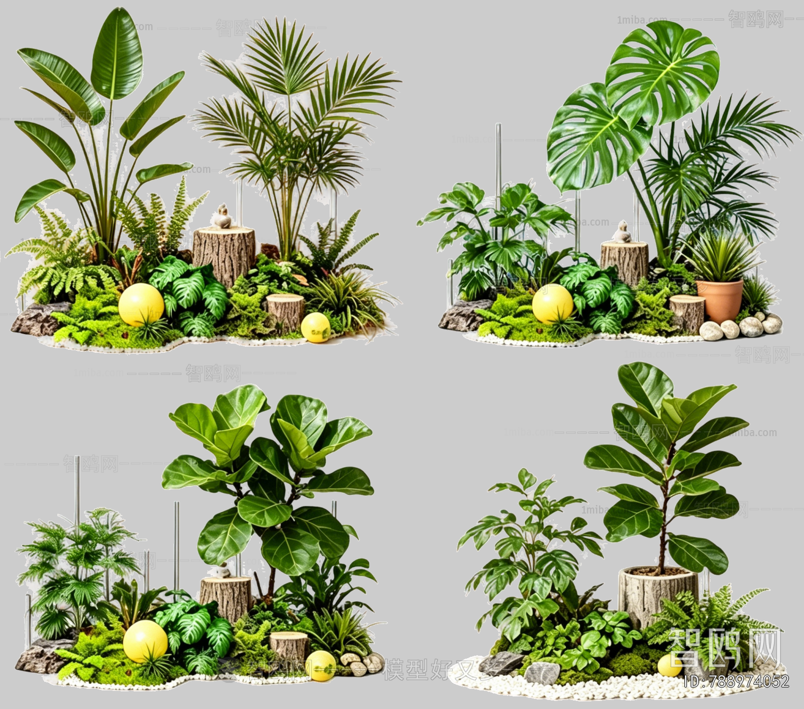 Plant Leaves