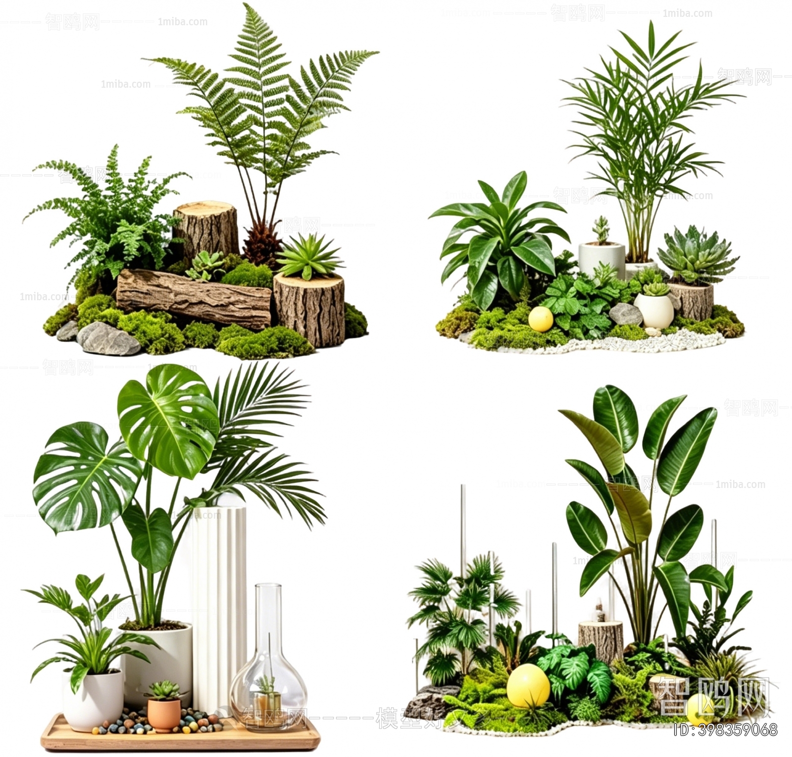 Modern Plant Landscaping