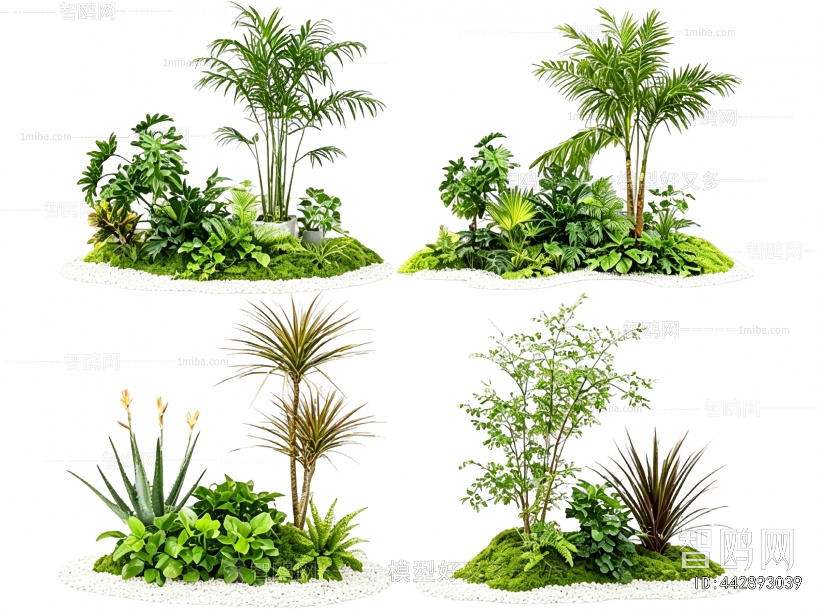 Modern Plant Landscaping