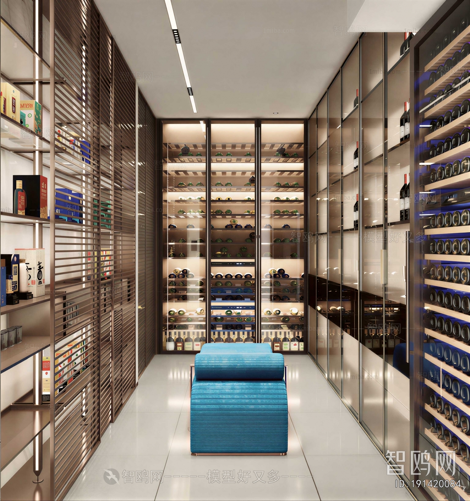 Modern Wine Cellar/Wine Tasting Room
