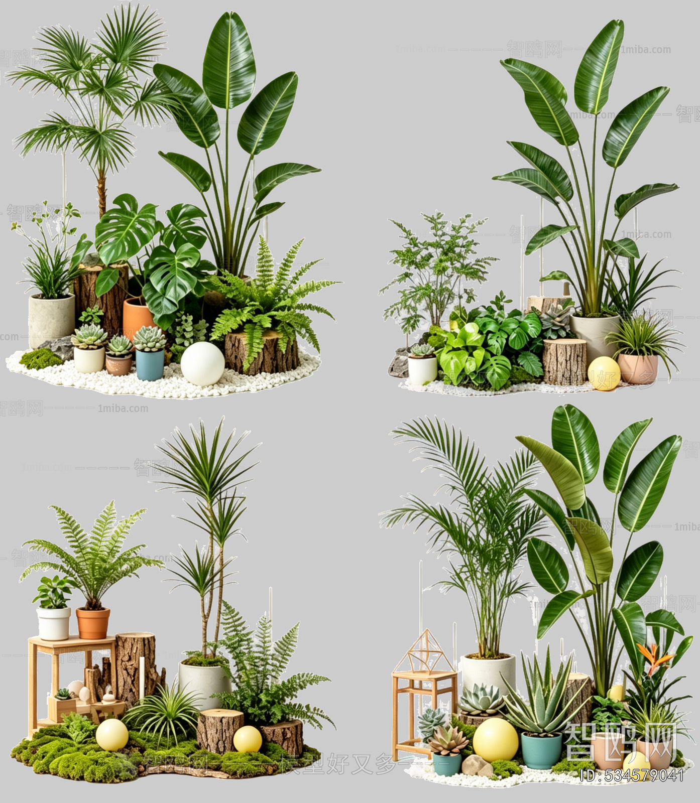Plant Leaves