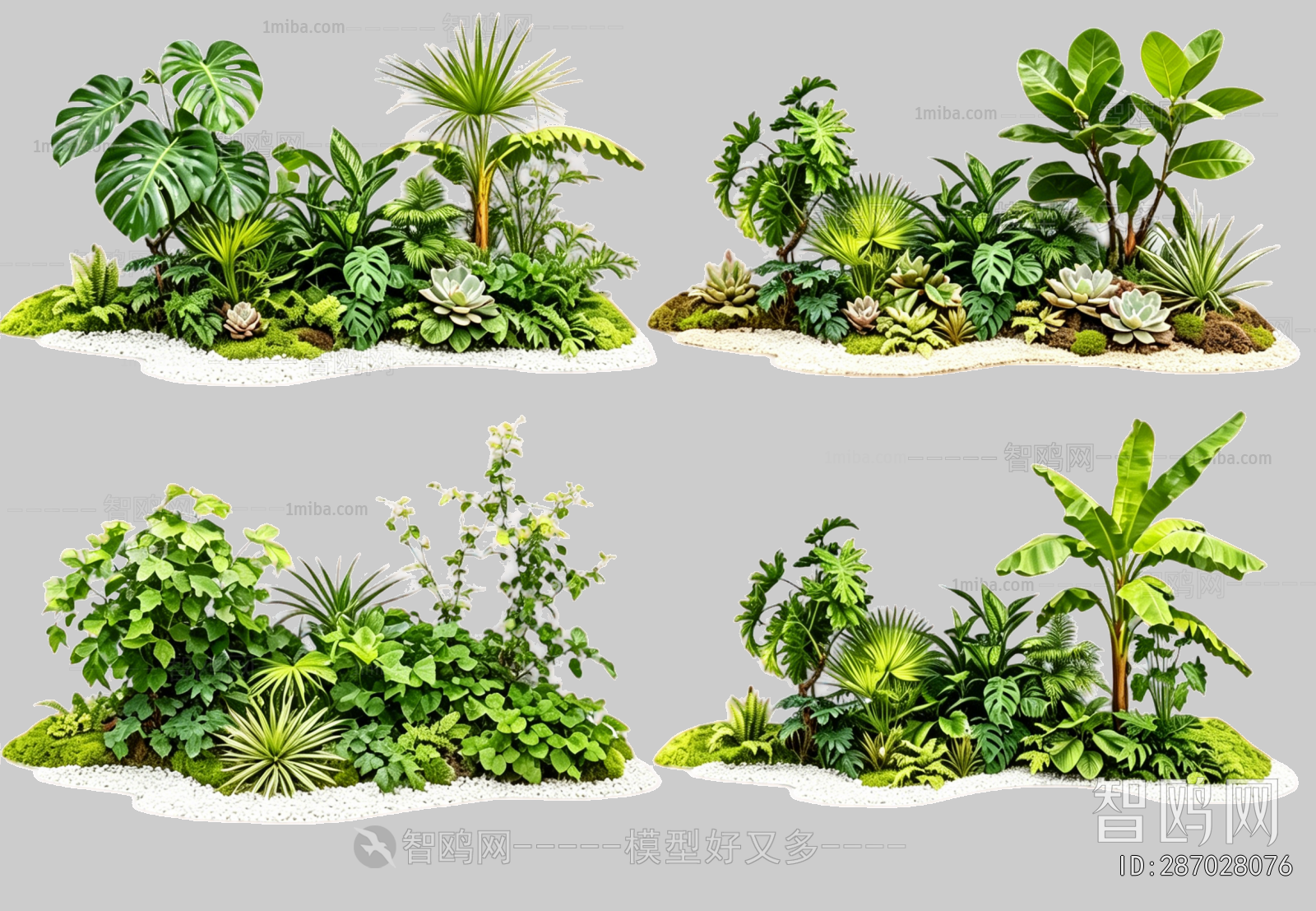 Plant Leaves