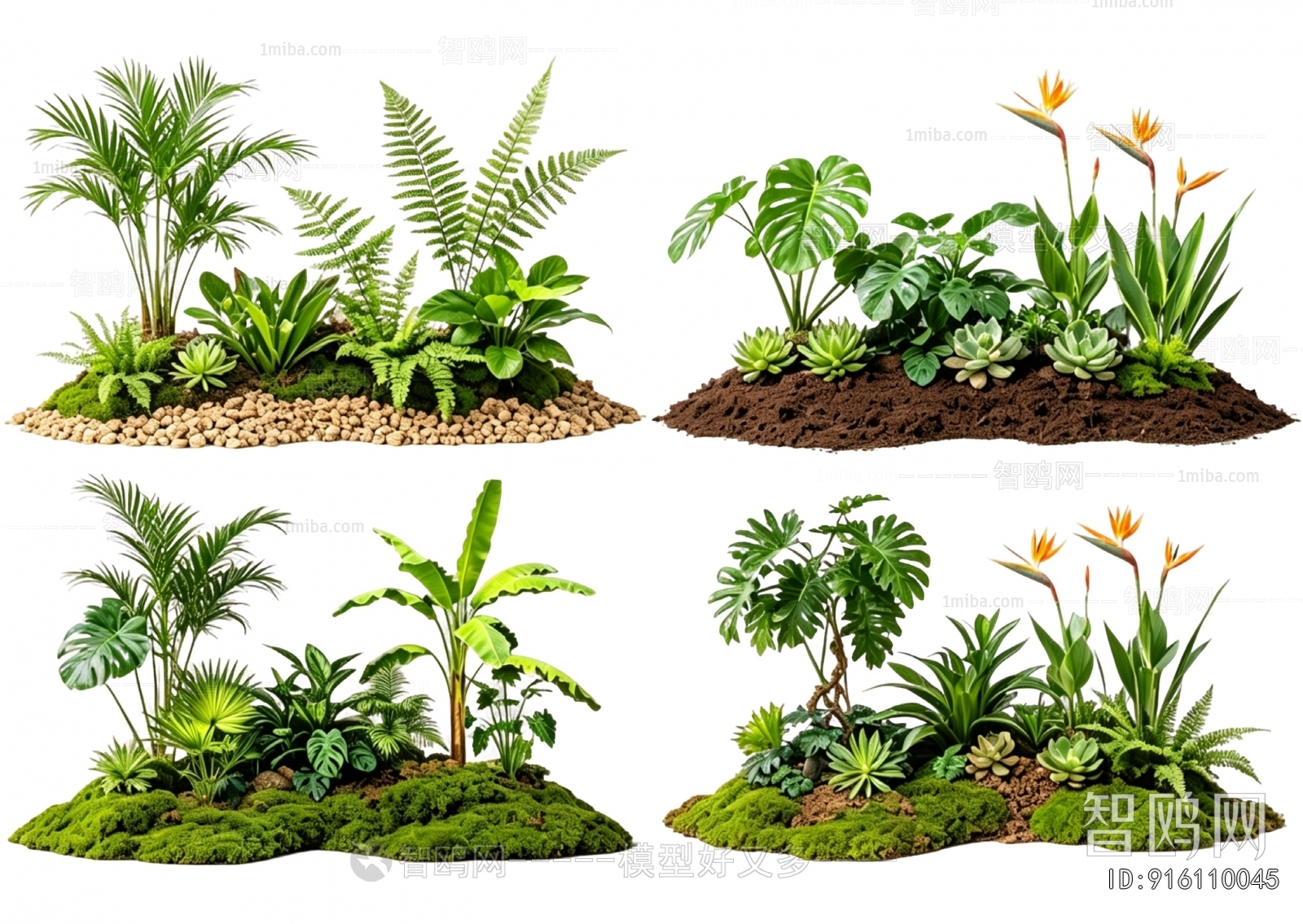 Modern Plant Landscaping