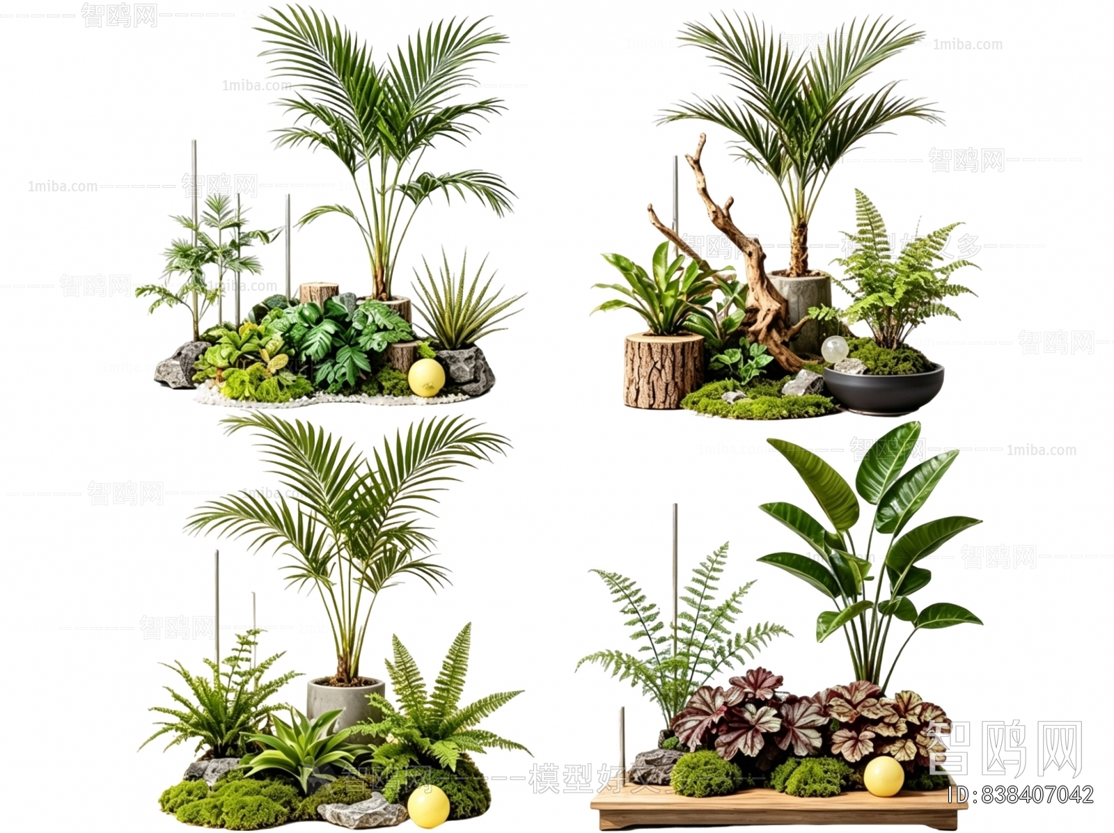 Modern Plant Landscaping