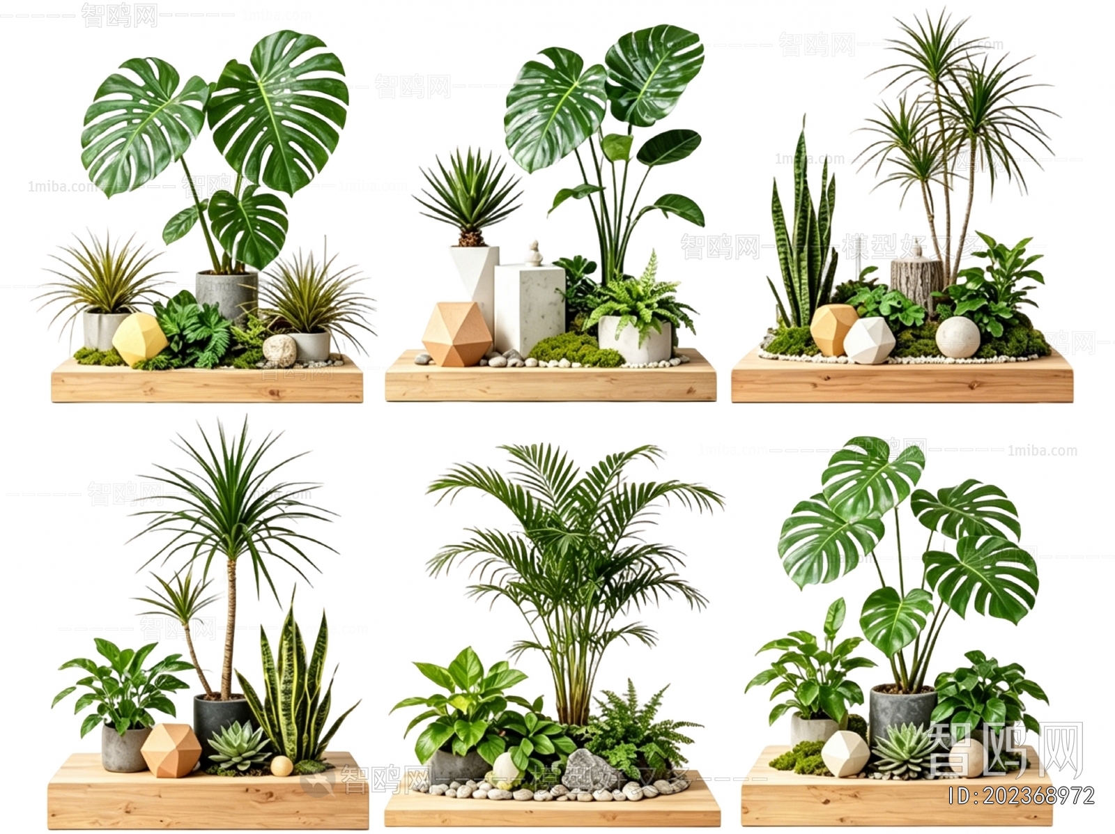 Modern Plant Landscaping